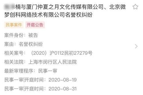 起诉娱乐吃瓜君的案例,网络言论边界与法律责任的较量
