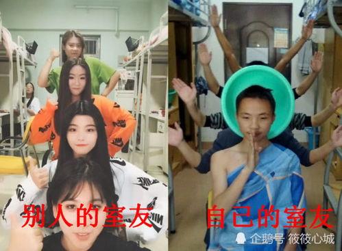 娱乐吃瓜酱室友日常,娱乐吃瓜酱的欢乐时光