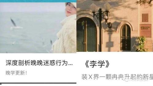 娱乐吃瓜酱白月光,揭秘白月光背后的故事