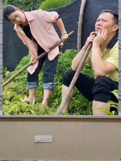 娱乐八卦一定是吃瓜群众