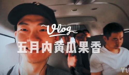 娱乐主播带你吃瓜,揭秘娱乐圈幕后故事